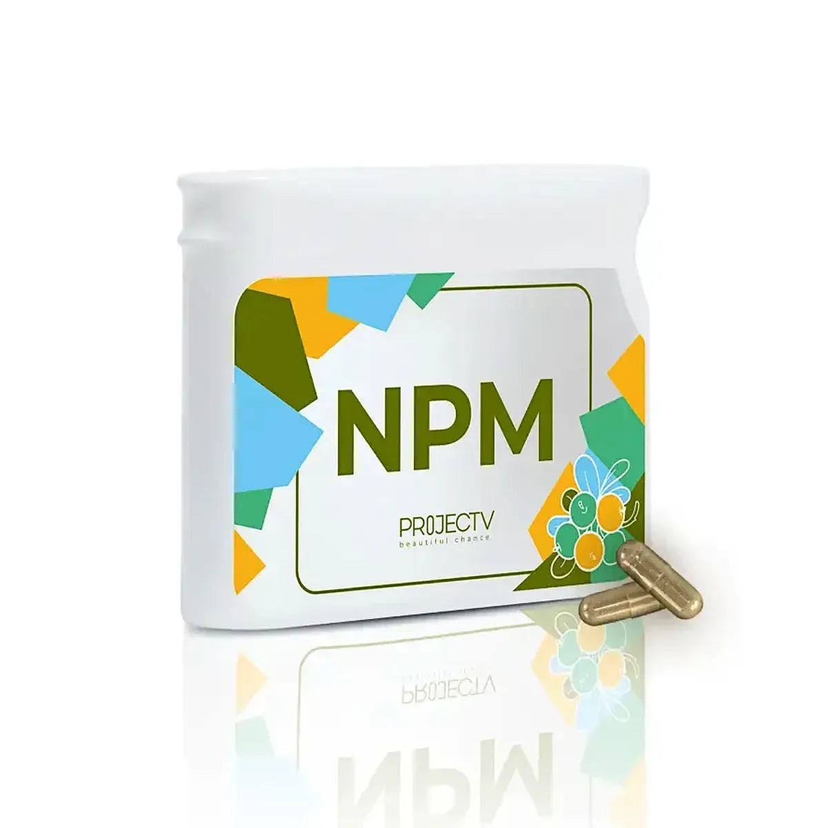 Project V NPM (Vision Ursul)