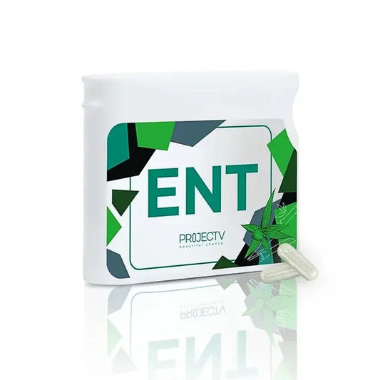 Project V - ENT (Vision Enjoy NT)