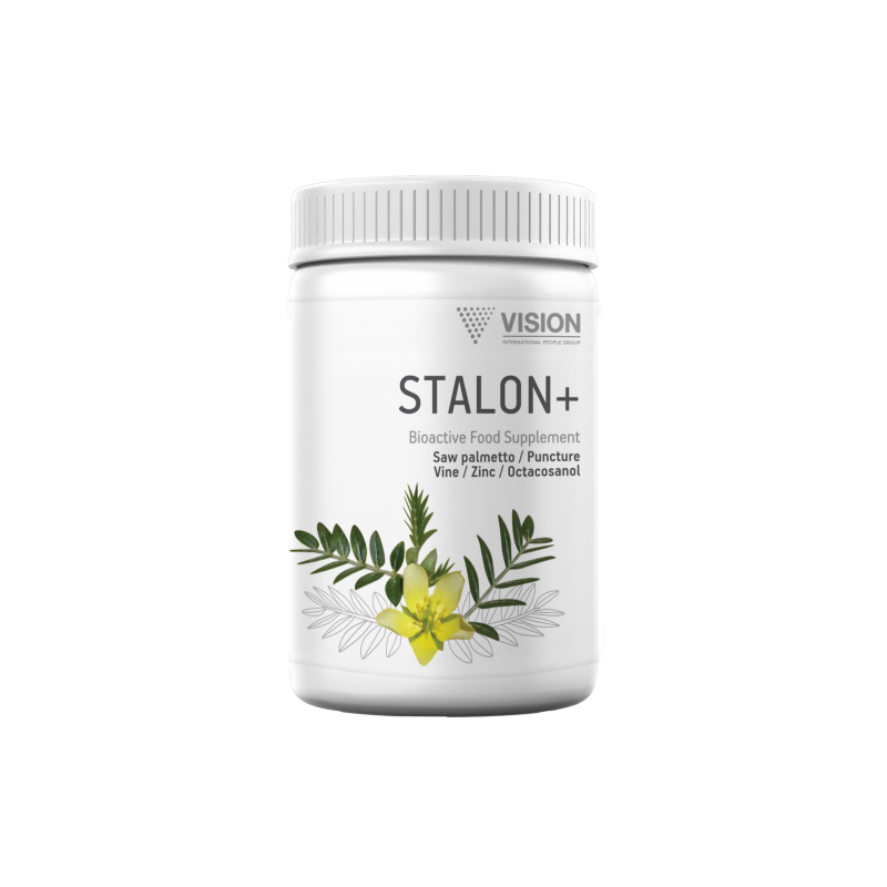 Stalon + Vision