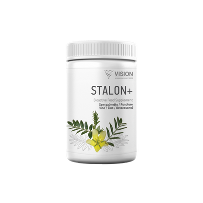 Stalon + Vision